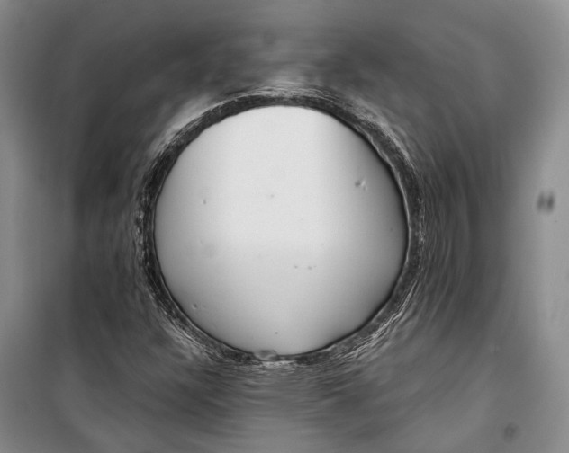 X0000098211304200805151242