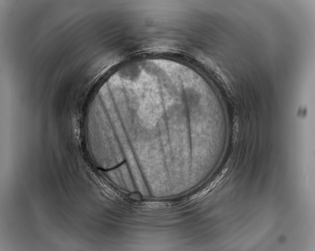 X0000098211305200805151242