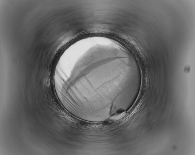 X0000098211306200805151242