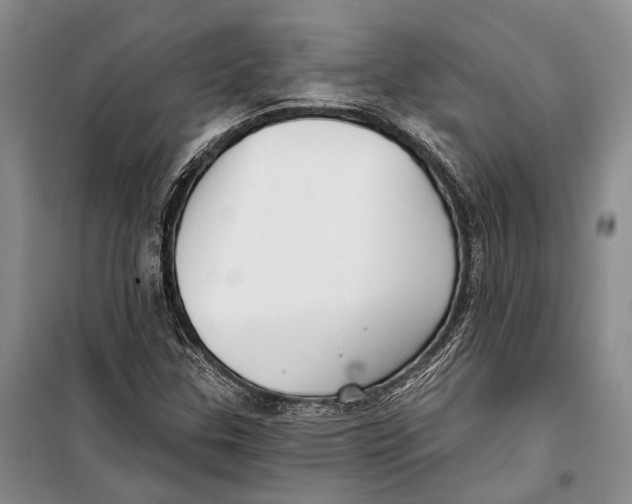X0000098211307200805151242