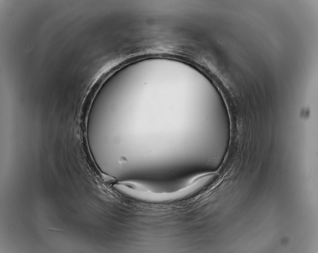 X0000098211308200805151243
