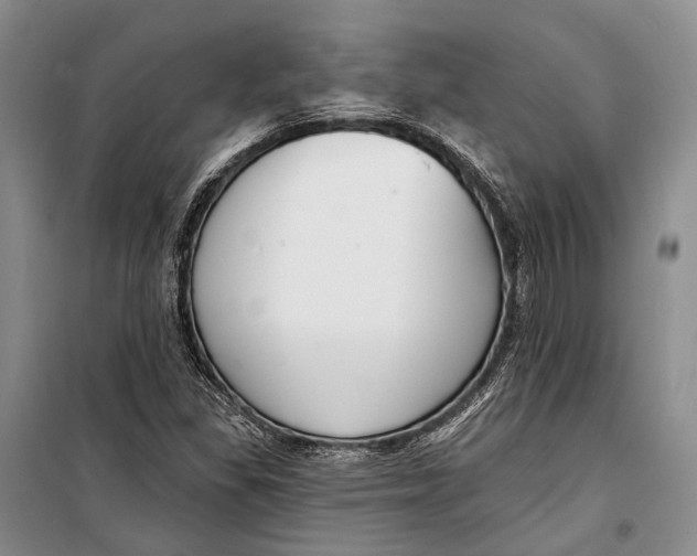 X0000098211309200805151243