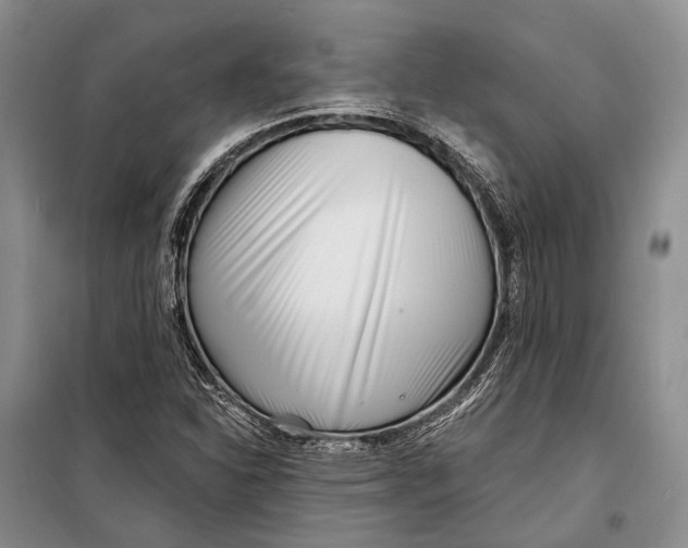 X0000098211310200805151243