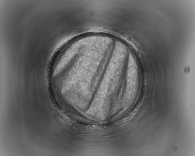 X0000098211311200805151243