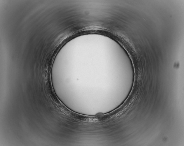 X0000098211313200805151243