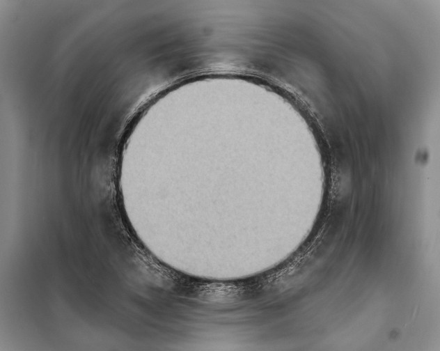X0000098211314200805151243
