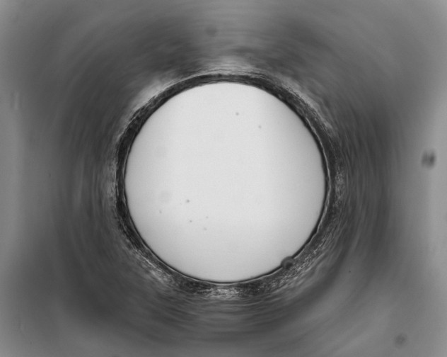 X0000098211315200805151243