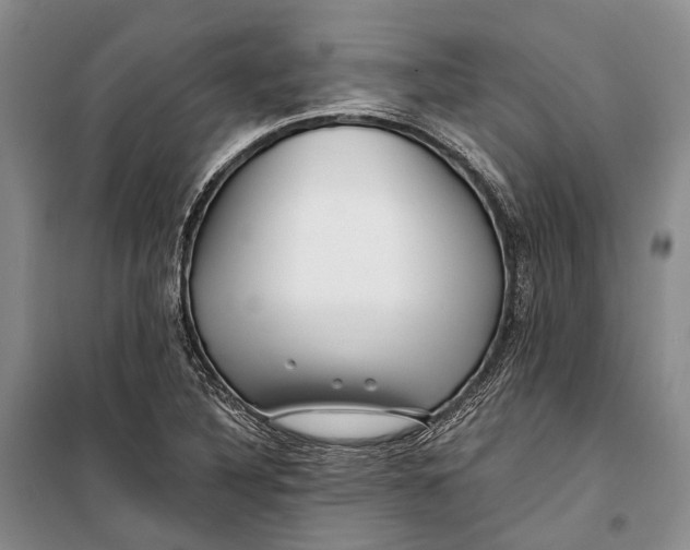 X0000098211316200805151243
