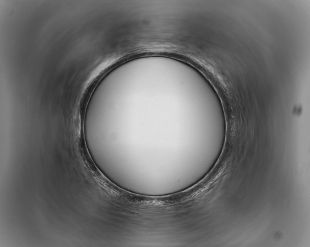 X0000098211317200805151243