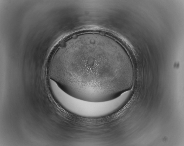 X0000098211318200805151243