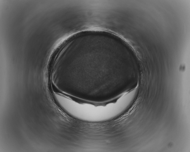 X0000098211319200805151243