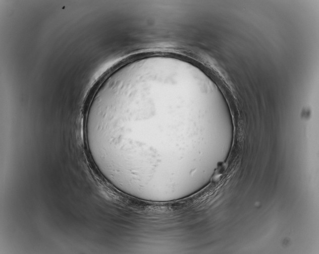 X0000098211320200805151243
