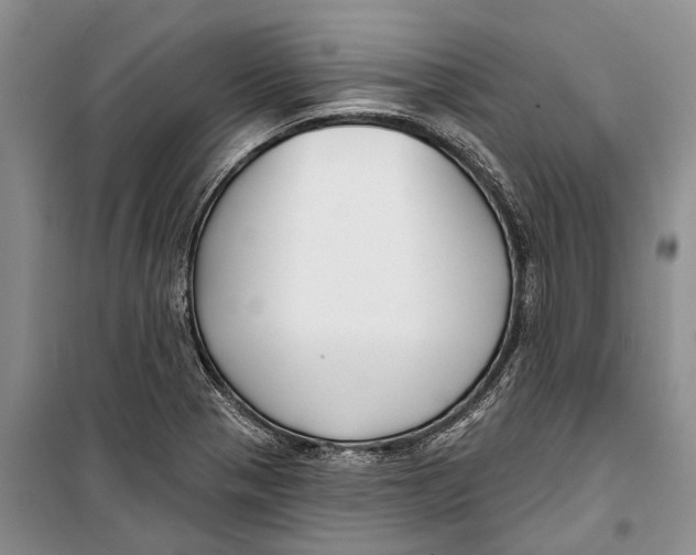 X0000098211321200805151243
