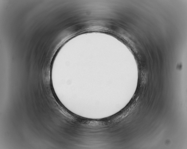 X0000098211322200805151243