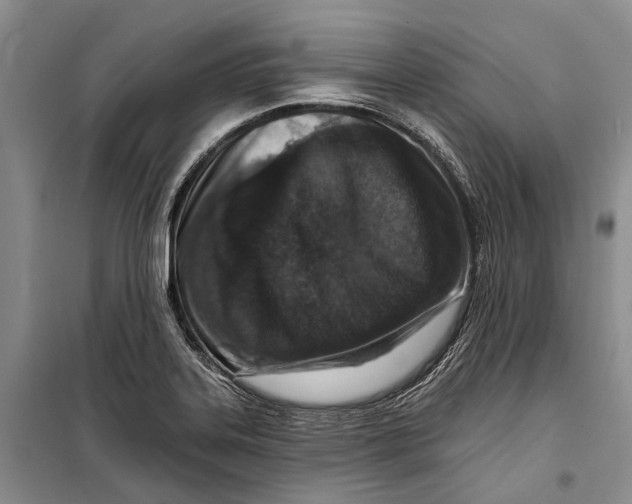 X0000098211323200805151243