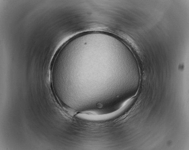 X0000098211324200805151243