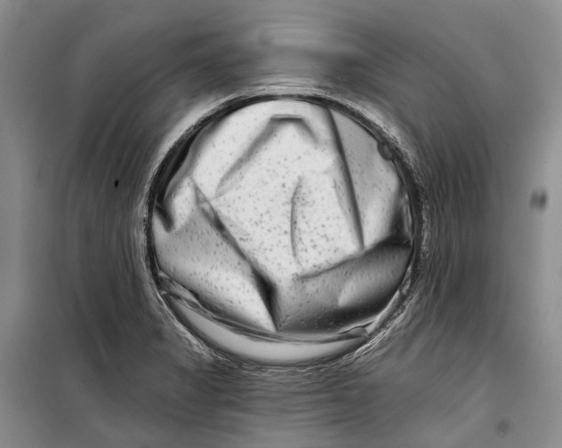 X0000098211325200805151243