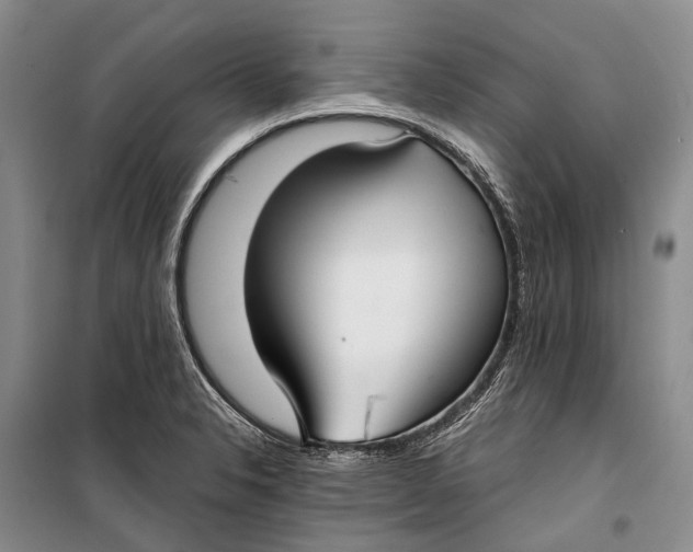 X0000098211326200805151243