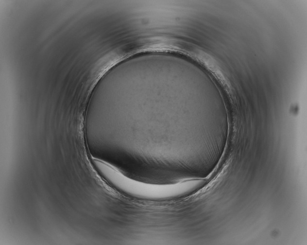 X0000098211329200805151243