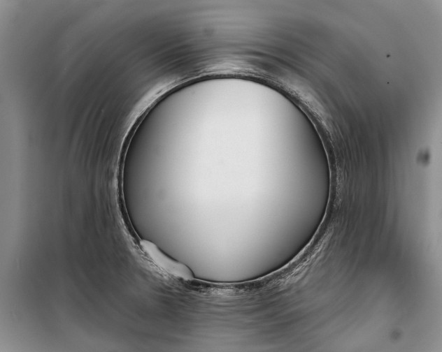 X0000098211330200805151243