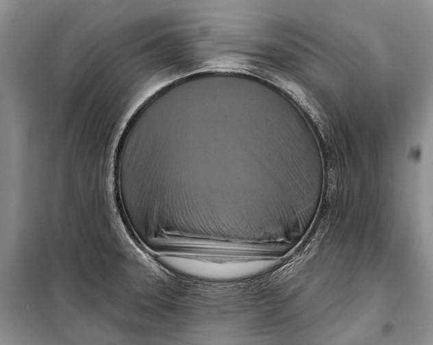 X0000098211331200805151243