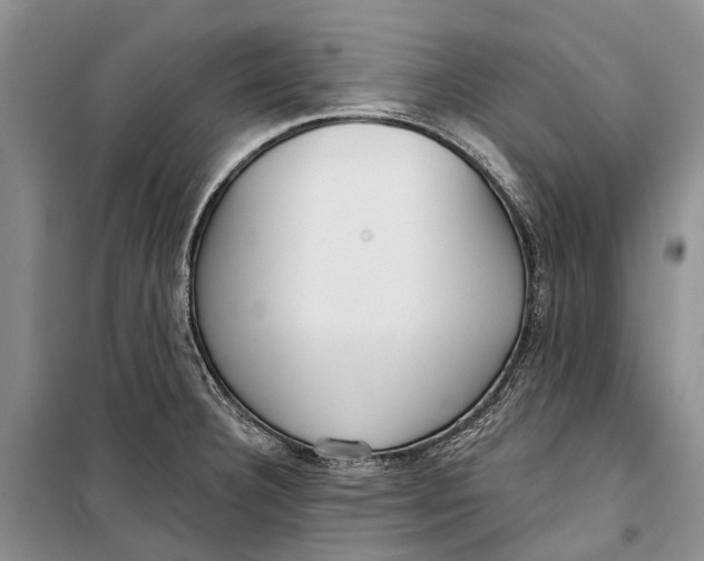 X0000098211332200805151243