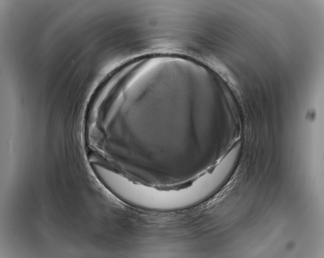 X0000098211334200805151243