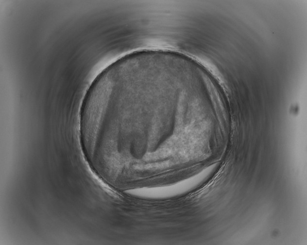 X0000098211335200805151243