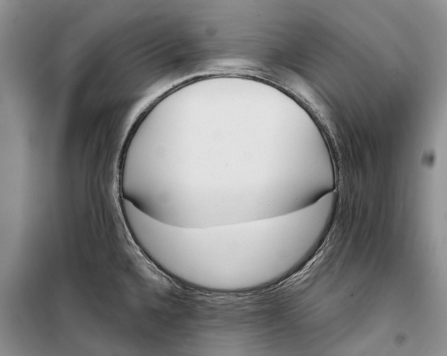 X0000098211336200805151243