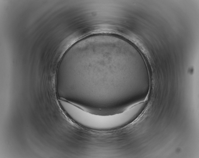X0000098211337200805151243