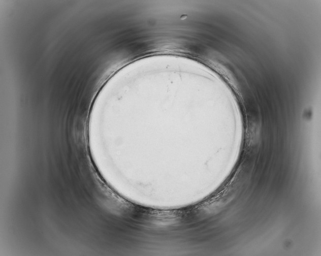 X0000098211338200805151243