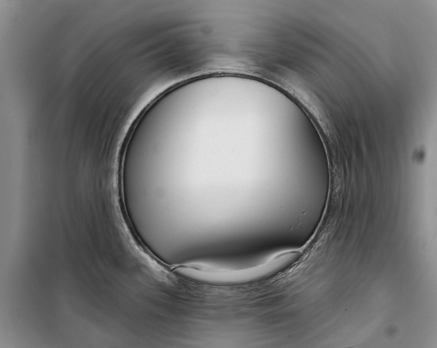X0000098211339200805151243