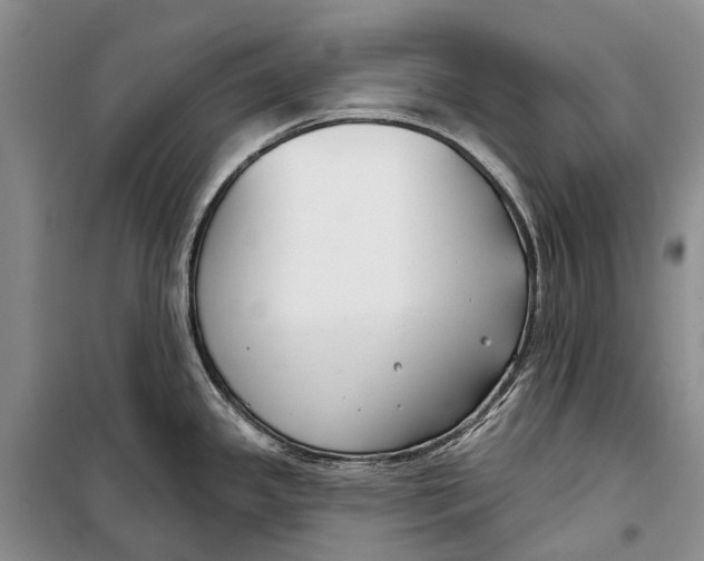 X0000098211341200805151243