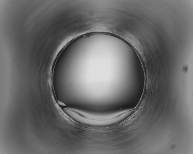 X0000098211342200805151243