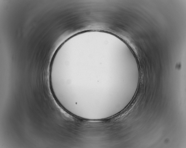 X0000098211343200805151243