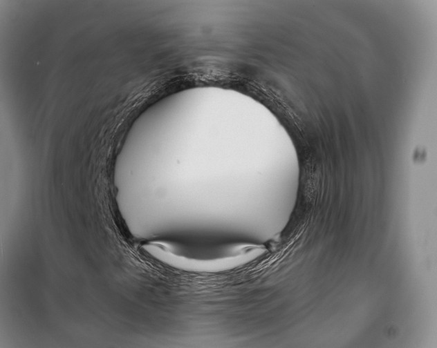 X0000098211345200805151242
