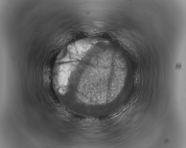 X0000098211346200805151242