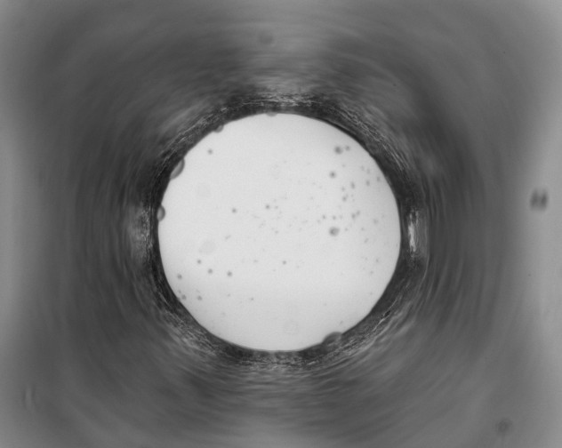 X0000098211347200805151242