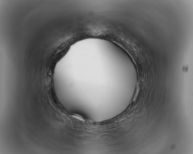 X0000098211349200805151242