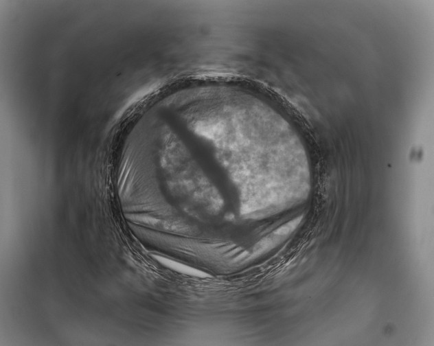 X0000098211351200805151242