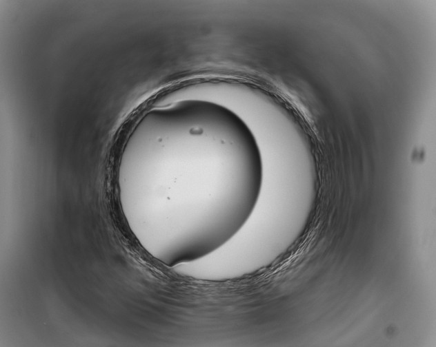 X0000098211352200805151242