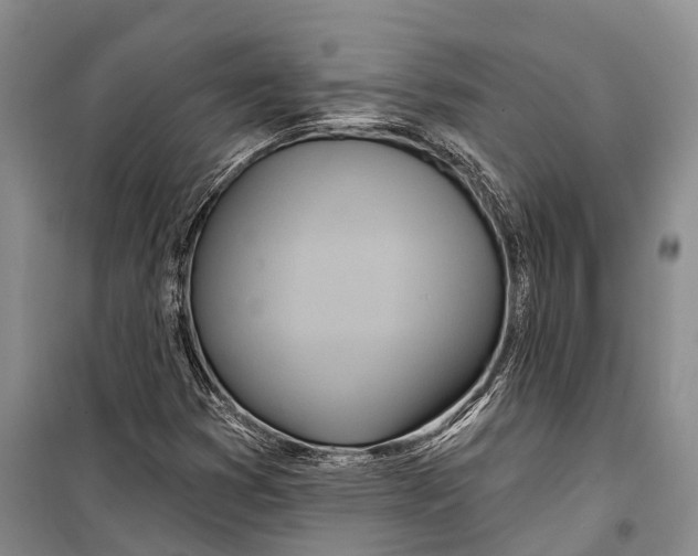 X0000098211353200805151242