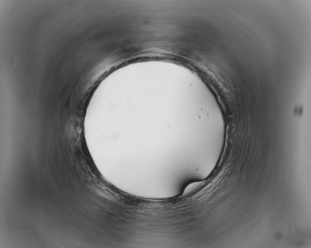X0000098211355200805151242