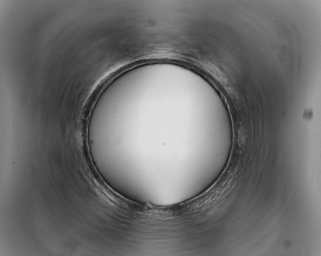 X0000098211356200805151242