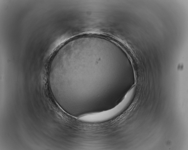 X0000098211359200805151242