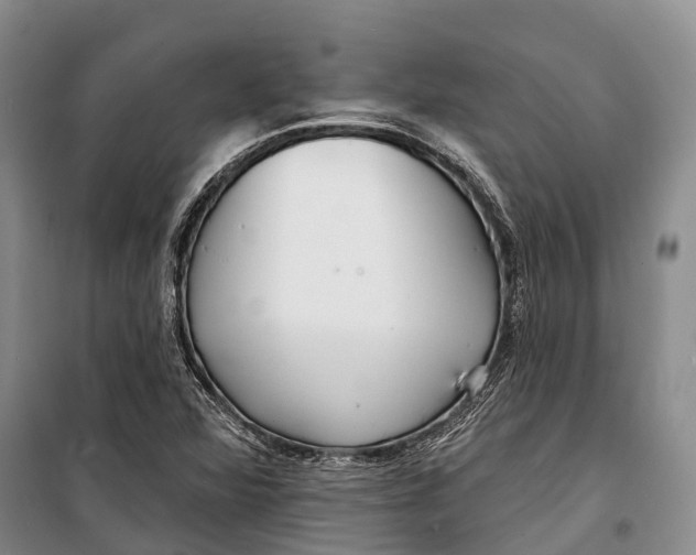 X0000098211360200805151242