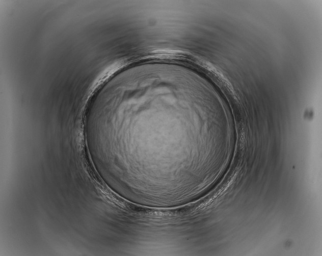 X0000098211362200805151242