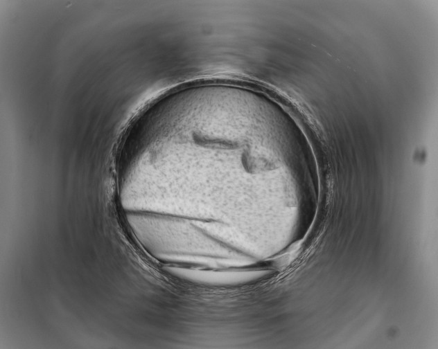 X0000098211363200805151242
