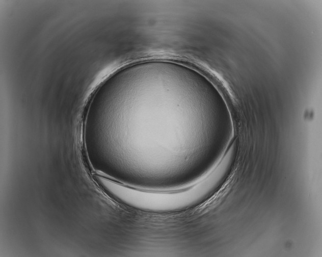 X0000098211365200805151242