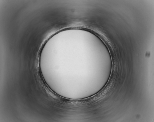 X0000098211366200805151242